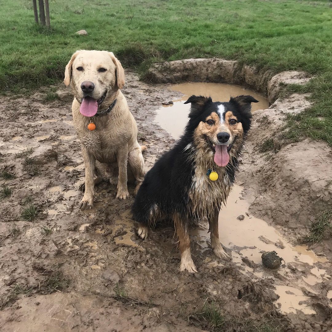 Brandi & Tucker